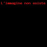 Rivestimento superfici-3